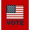 Vote American Flag  Adult Crew Neck Short Sleeve Tee - 2 of 2