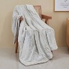 50"X60" Rabbit Fur to Mink Reversible Throw Blanket - Dream Theory - image 2 of 4
