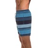 Whiskey and Oak Mens Swimming Trunks Shorts with Pockets Quick Dry Bathing Suit - 2 of 3