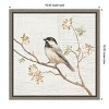 Amanti Art Black Capped Chickadee Vintage by Danhui Nai Canvas Wall Art Print Framed 16-in. x 16-in. - 4 of 4