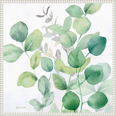 Eucalyptus Leaves I Green and White Canvas Print with Floater Frame