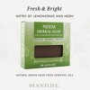 Plantlife Neem Herbal Bar Soap - Hand Crafted Using Plant-Based Ingredients - Made in California 4.5oz Bar - 3 of 4