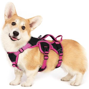 rabbitgoo Escape Proof Dog Harness Small Sized Dog, Soft Padded Full Clip for Walking Hiking Training, Pink & Black, S - 1 of 1