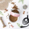 Bone Dry Pet Bowl - Set/2 - 4 of 4