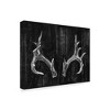 Unframed Wall Canvas - Trademark Fine Art - image 2 of 4