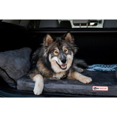 Backseat Barker: SUV Edition