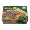 Yellow Door Dig and Discover - Pliosaur & Stegosaurus - 2 of 4