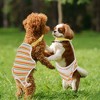Unique Bargains Female Dog Period Diapers Washable Reusable with Adjustable Suspender - 3 of 4