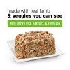 Purina Beneful Prepared Meals Chopped Blends Wet Dog Food - 10oz - 3 of 4