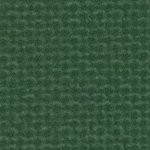 portland timbers