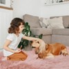 Area Rugs for Bedroom Fluffy Fuzzy Shag Faux Fur Plush Soft Shaggy Easy Care Mats Indoor Floor Soft Carpet for Living Room Decor - 3 of 4
