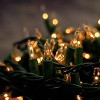 Twinkle Star 33FT 150 Incandescent Mini String Lights, UL Certified Indoor & Outdoor Lights for Christmas and Decoration - 3 of 4