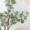 6 ft Artificial Fake Tree - HOMLUX™: Faux Eucalyptus Tree, Woven Seagrass Basket - 4 of 4