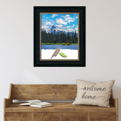Paragon Bronze Antiqued Transitional Wall Picture Frame