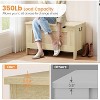 Acekool Decorative Storage Bench, Dual-Use Entryway Chest with Safety Hinge - 4 of 4