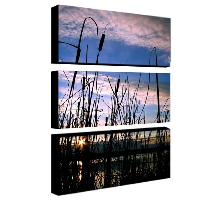 Trademark Fine Art - CATeyes, 'Dreams' 3-panel Art Set