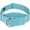 Country Brook Petz HossFit Jr Wide Martingale Dog Collar - Training Collar with No Buckle - Vibrant, Colorful Collection - 2 of 4