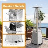 2-in-1 Patio Propane Heater Commercial Gas Heater 48000 BTU Outdoor For Backyard - 4 of 4