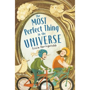 The Most Perfect Thing in the Universe - by Tricia Springstubb - 1 of 1