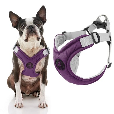 Gooby Memory Foam Step in Harness Purple, X