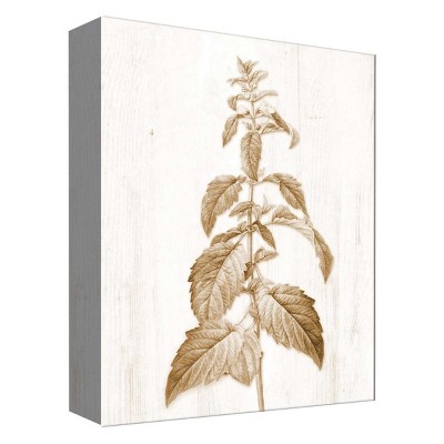 11" x 14" Sephia Decorative Wall Art - PTM Images