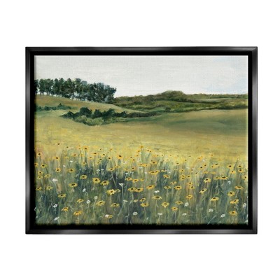 Stupell Industries Rural Daisy MeadowFloater Canvas Wall Art