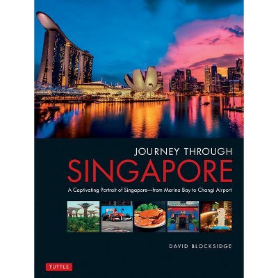 Journey Through Singapore - by  David Blocksidge (Hardcover)