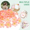 Unique Bargains Silk Fake Plum Blossom Artificial Flower Heads - 4 of 4