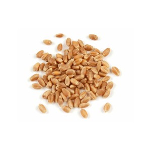 Heartland Mill Organic Hard Red Winter Wheat Berries - 25 lbs - 1 of 3