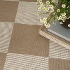 Nourison Washable Modern Jute Back to College Checkered Geometric Non-Skid Flatweave Indoor Area Rug - 4 of 4