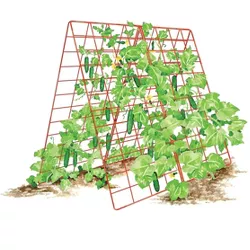Deluxe Cucumber Trellis,  32” W x 46” H, for Climbing Plants Vegetables and Flowers Outdoor Garden or Raised Bed, Red - Red - Gardener's Supply Co.