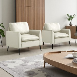 Cat Paw Leather 2-Piece Retro Armchair Set with Pillows - 1 of 4