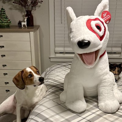 24 Bullseye Dog Stuffed Animal Target