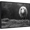 Amanti Art Wondering sheep by Ajven Canvas Wall Art Print Framed 24 x 18-in. - 3 of 4
