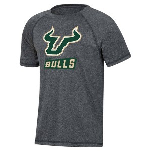 NCAA South Florida Bulls Boys' Gray Poly T-Shirt - 1 of 3
