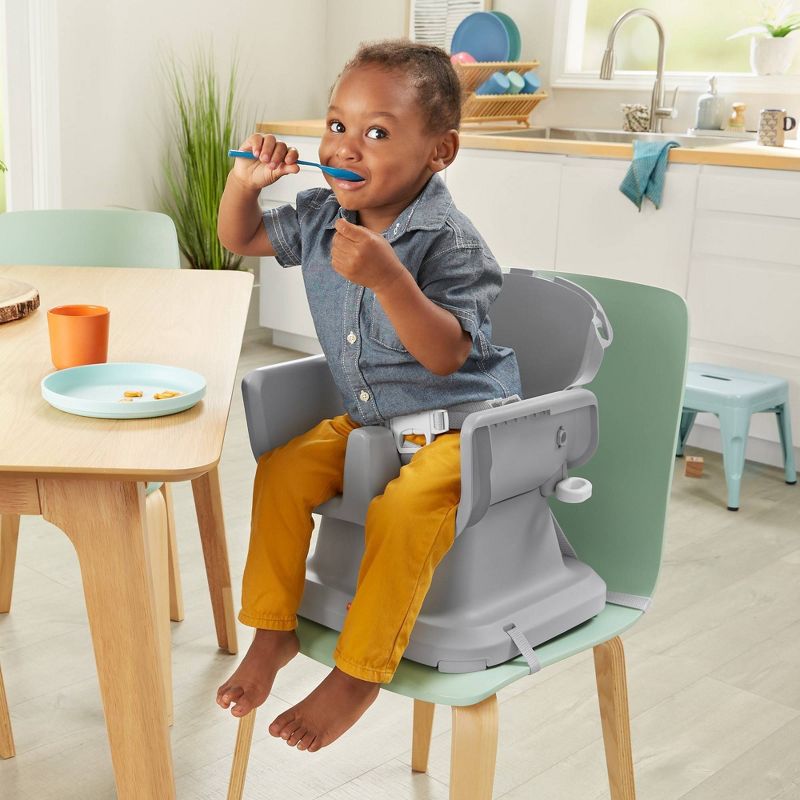 Fisher-Price SpaceSaver High Chair, 3 of 11
