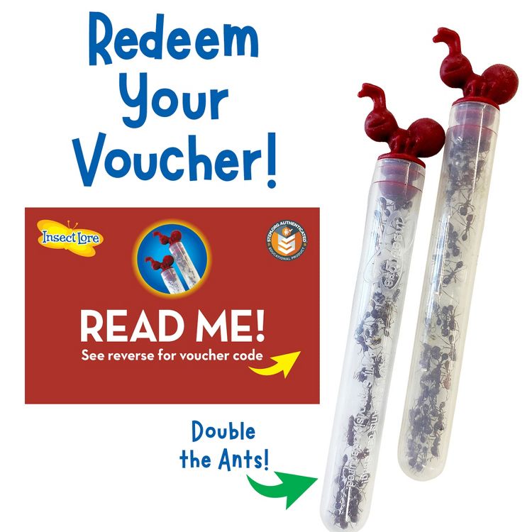 Insect Lore Ant Hill™ Ant Habitat, 5 of 6