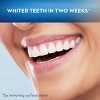 Oral-B Vivid Whitening Manual Toothbrush, Soft, 1 Count - 4 of 4