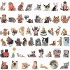 Wrapables Waterproof Vinyl Stickers for Water Bottles, Laptop, Phones, Skateboards, Decals for Teens, 100pcs, Funny Felines - 3 of 4