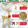 iMountek"Lighted Christmas Reindeer & Sleigh Indoor/Outdoor Decoration with 8 Lighting Modes"Gold&Red - 3 of 4