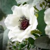 5.5"H Sullivans Anemone Silvery Orb, Multicolored - 2 of 4