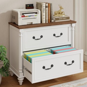 Lateral File Cabinet for Letter/A4/Legal Size Hanging Files, 2 Drawers White File Storage Cabinet Printer Stand - 1 of 4