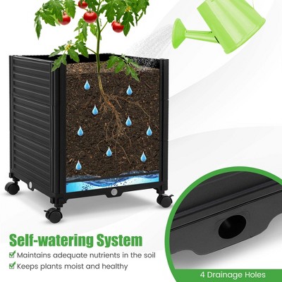 Black Metal Raised Garden Bed with Trellis and Wheels