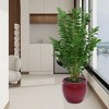KTMBDW Ceramic Plant Pots, Planter Pot with Drainage Hole, Flower Pots for Indoor Outdoor Plants, Set of 3 - 2 of 4