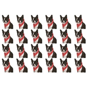 24 Pack Cotton Paisley Dog Bandanas Bulk Set for Groomers Shelters or Parties - 1 of 4