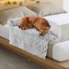 Angel Sar Gray Plush Calming Dog Couch Bed with Anti-Slip Bottom, Removable Washable Cover for Small Medium Large Dogs - 2 of 4