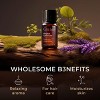 Gya Labs English Lavender Essential Oil 0.34 Fl Oz 100% Pure Natural Floral Herbaceous - 4 of 4