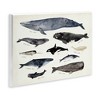Stupell Industries Vintage Nautical Chart of Whales Ocean Life Wall Plaque Art - 2 of 4