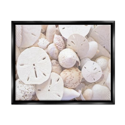 Stupell Industries White Mixed Sand Dollar Shells Framed Floater Canvas Wall Art