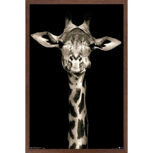Trends International Portrait of a Giraffe Framed Wall Poster Prints - 1 of 4